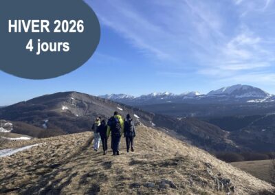 H26-CHMOUT’ Chamaloc